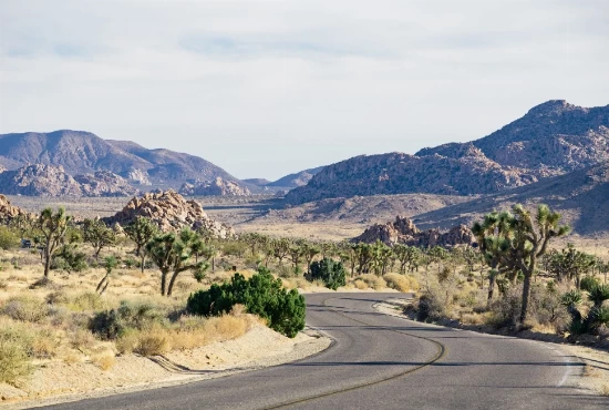 Hit the Road: Unforgettable Road Trips from Rosemead, CA